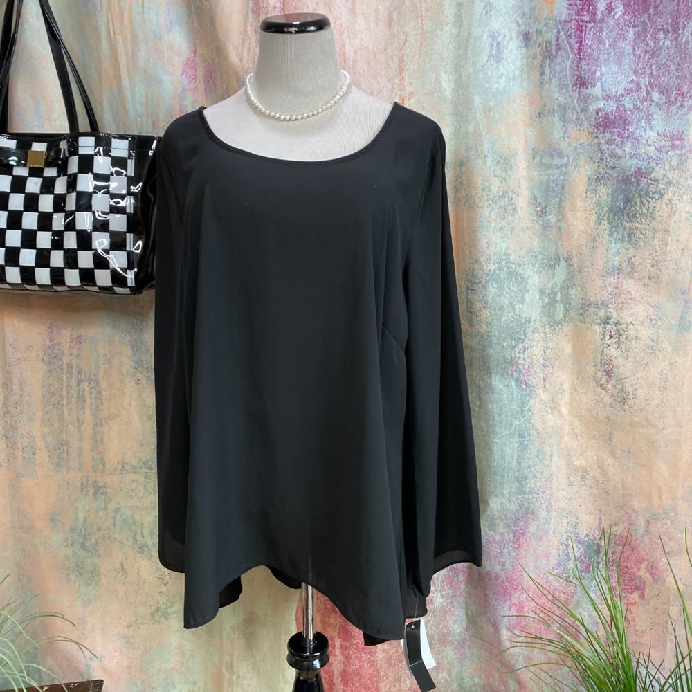 NWT📌Ing Light Transparent Long Sleeves Top with beautiful Backside Neckline